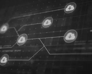 заказать программное обеспечение